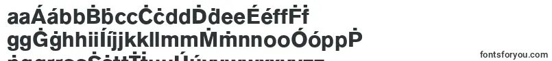 AnconaBold Font – Gaelic Fonts