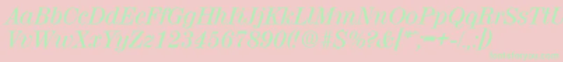 ValenciaMediumita Font – Green Fonts on Pink Background