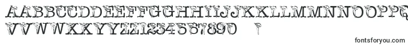 Шрифт PfCalla – шрифты для Adobe Indesign