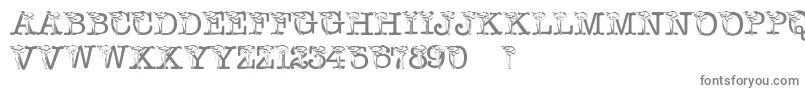 フォントPfCalla – 白い背景に灰色の文字