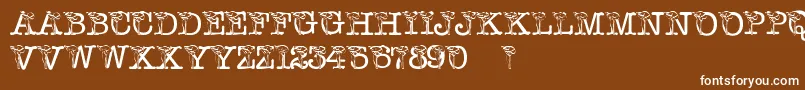 PfCalla Font – White Fonts on Brown Background