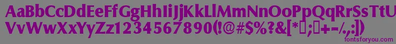 Ferruledisplayssk-Schriftart – Violette Schriften auf grauem Hintergrund