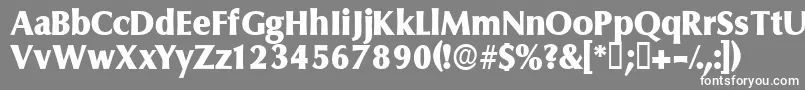 フォントFerruledisplayssk – 灰色の背景に白い文字