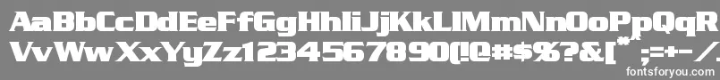 StraczynskiBold Font – White Fonts on Gray Background