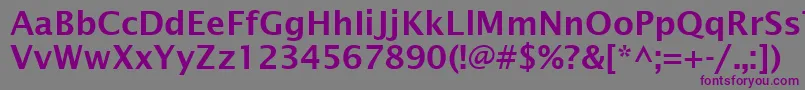 LucidaSansDemiboldRoman-Schriftart – Violette Schriften auf grauem Hintergrund