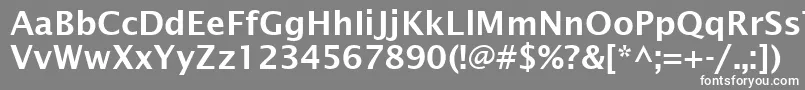 Czcionka LucidaSansDemiboldRoman – białe czcionki na szarym tle