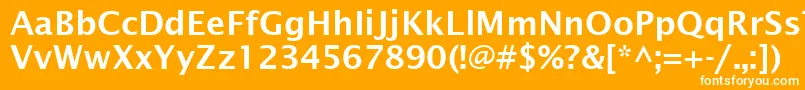 フォントLucidaSansDemiboldRoman – オレンジの背景に白い文字