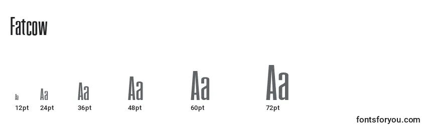 Fatcow Font Sizes