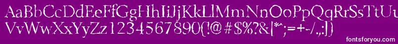 BelfastrandomLightRegular Font – White Fonts on Purple Background