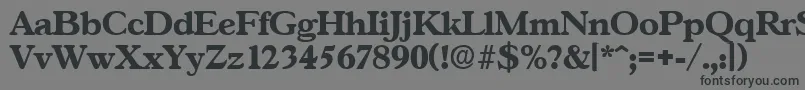 GascogneBold Font – Black Fonts on Gray Background