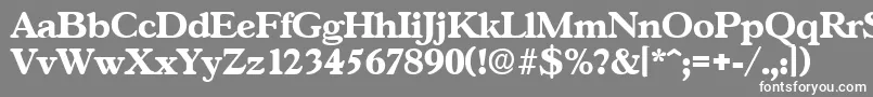 フォントGascogneBold – 灰色の背景に白い文字