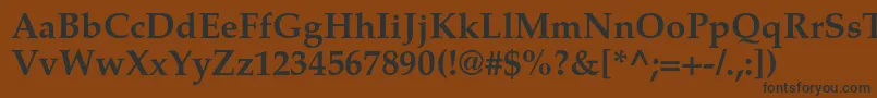 フォントTexgyrepagellaBold – 黒い文字が茶色の背景にあります