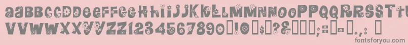 Floralies Font – Gray Fonts on Pink Background