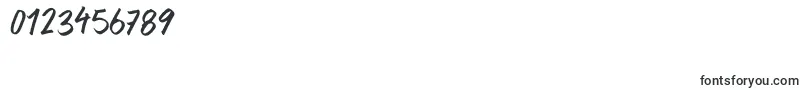 SurferBay Font – Fonts for Numbers and Digits