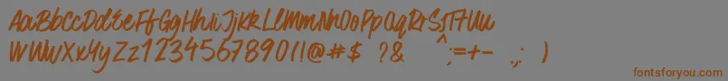 SurferBay Font – Brown Fonts on Gray Background