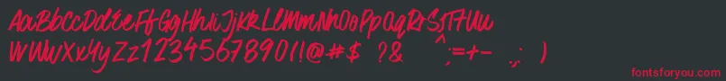 SurferBay Font – Red Fonts on Black Background