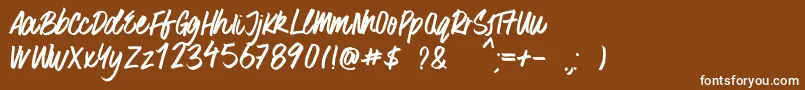 SurferBay Font – White Fonts on Brown Background
