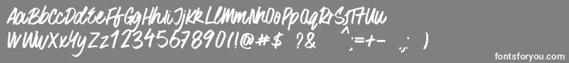 SurferBay Font – White Fonts on Gray Background