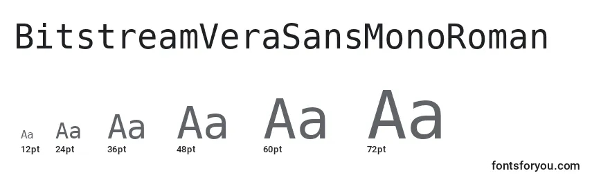 BitstreamVeraSansMonoRoman Font Sizes