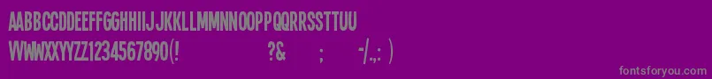 Sing14l-Schriftart – Graue Schriften auf violettem Hintergrund