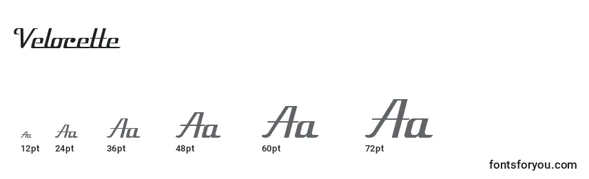 Velocette Font Sizes