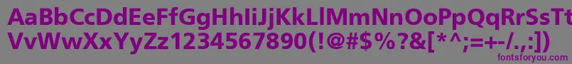 Шрифт Dorisbr – фиолетовые шрифты на сером фоне