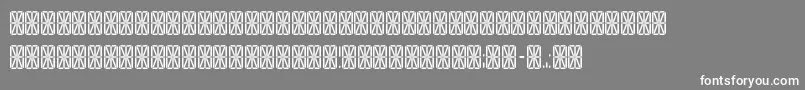 TransponderGridAoe Font – White Fonts on Gray Background