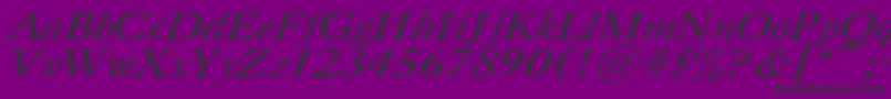 CasloncttItalic Font – Black Fonts on Purple Background