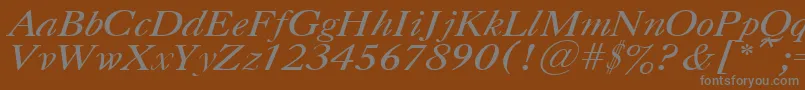 CasloncttItalic Font – Gray Fonts on Brown Background