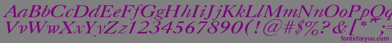 CasloncttItalic-fontti – violetit fontit harmaalla taustalla