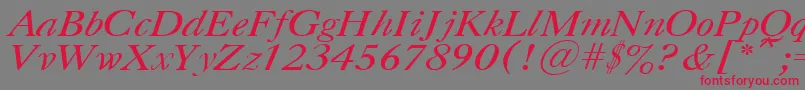 CasloncttItalic Font – Red Fonts on Gray Background