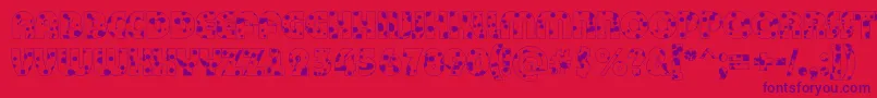 Bigha12 Font – Purple Fonts on Red Background