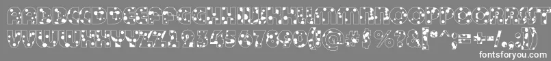 Bigha12 Font – White Fonts on Gray Background