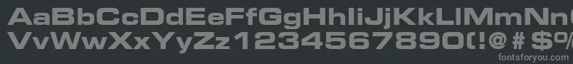 PalindromeExpandedSsiBoldExpanded Font – Gray Fonts on Black Background