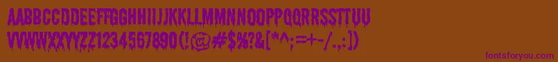 ShlopRegular Font – Purple Fonts on Brown Background