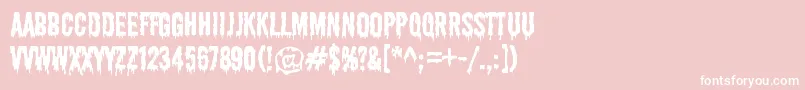 ShlopRegular Font – White Fonts on Pink Background