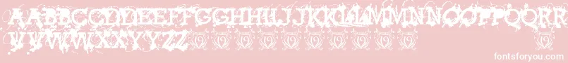 AmericanBravadoTrial Font – White Fonts on Pink Background