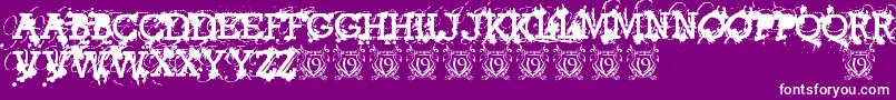AmericanBravadoTrial Font – White Fonts on Purple Background