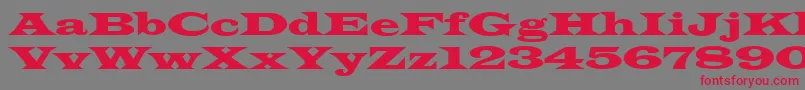 Latinwidd Font – Red Fonts on Gray Background