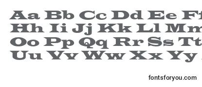 Latinwidd Font