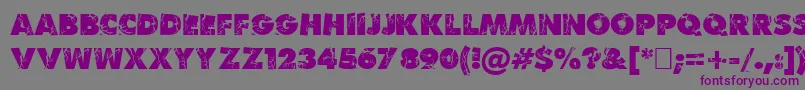 Krush Font – Purple Fonts on Gray Background