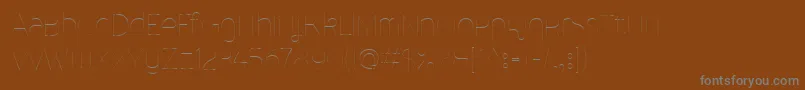 MalinaUltralight-Schriftart – Graue Schriften auf braunem Hintergrund