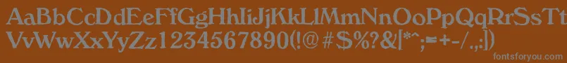 VeronaantiqueMediumRegular Font – Gray Fonts on Brown Background