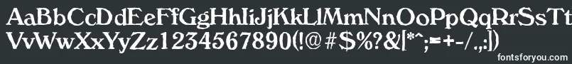 VeronaantiqueMediumRegular Font – White Fonts