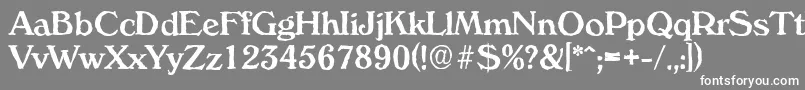 VeronaantiqueMediumRegular Font – White Fonts on Gray Background
