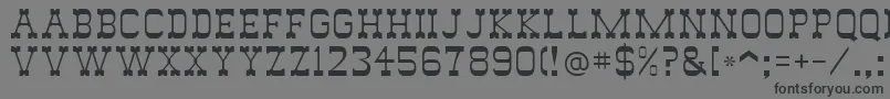 フォントWildwest – 黒い文字の灰色の背景