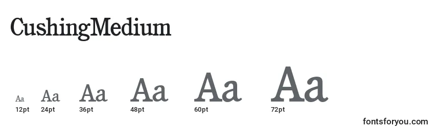 CushingMedium Font Sizes