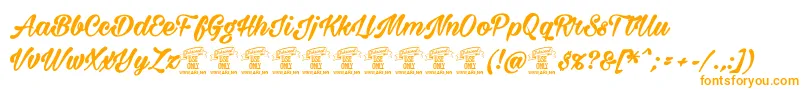 Police Milasiancircaboldpersonal – polices orange