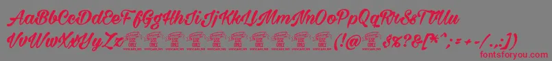 Milasiancircaboldpersonal Font – Red Fonts on Gray Background