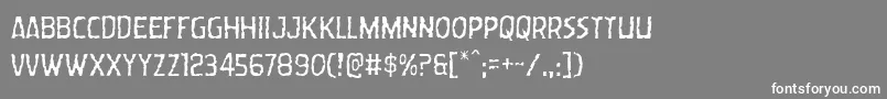 Wormcuisinelight Font – White Fonts on Gray Background